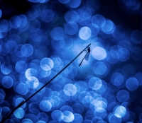 Nom du fichier=180428074126631820.jpg
Taille du fichier=240Ko
Dimensions : 1024x892
Ajouté le : 28 Avril 2018 180428074126631820.jpg