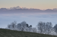 Nom du fichier=31196742874_d8d23010d8_o.jpg
Taille du fichier=313Ko
Dimensions : 1024x678
Ajouté le : 02 Janvier 2017 31196742874_d8d23010d8_o.jpg