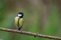 Nom du fichier=imgp8610.jpg
Taille du fichier=121Ko
Dimensions : 1024x680
Ajouté le : 01 Mai 2018 imgp8610.jpg