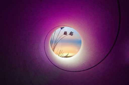 2012-04-01/punisher029
Par punisher029 - [ Studio et inclassables ]
