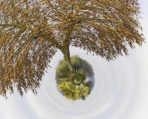 Juin 2012-LeBernard
Juin 2012 - LeBernard
