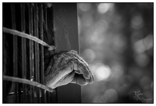 Juillet 2012-Tizoo
Juillet 2012 - Tizoo
