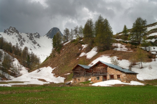 Juin 2012 - dedales
Juin 2012 - dedales
