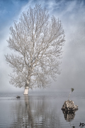 fevrier 2012 - jeff67560
Fevrier 2012 - jeff67560
