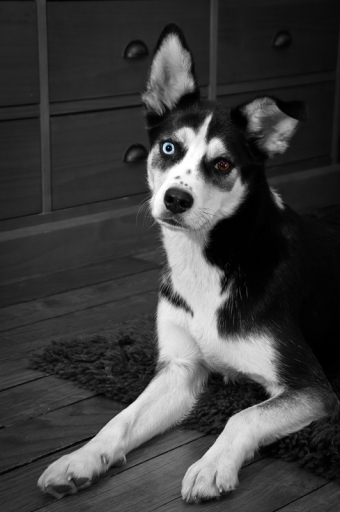 fevrier 2012 - Fab1983
fevrier 2012 - Fab1983
