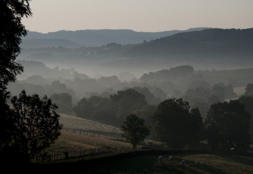 2011-10-04 / Astor
Par Astor - [ Matin en haut clunysois ]
