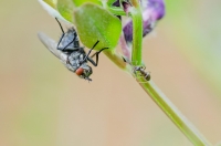 Nom du fichier=120414064052916943.jpg
Taille du fichier=92Ko
Dimensions : 1024x678
Ajouté le : 14 Avril 2012 120414064052916943.jpg