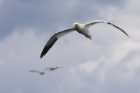 Nom du fichier=120518064406984889869057.jpg
Taille du fichier=170Ko
Dimensions : 900x600
Ajouté le : 19 Mai 2012 120518064406984889869057.jpg