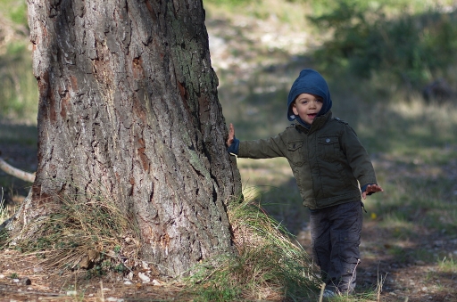 Netgabe - Janvier 
Janvier 2012 - Netgabe
