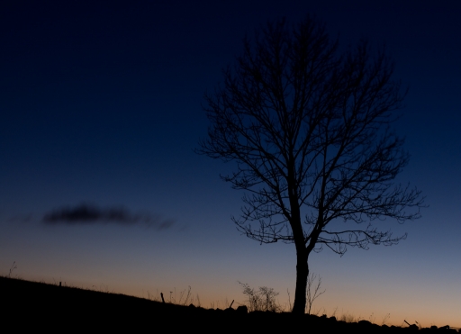 2011-01-21 / Ch1ch1
 Par : Ch1ch1 [ Nuit ou poses longues ]

