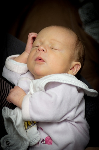 Septembre 2012 Sebbenault 
Septembre 2012 - Sebbenault 
