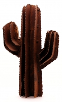 Cactus_1_small.jpg