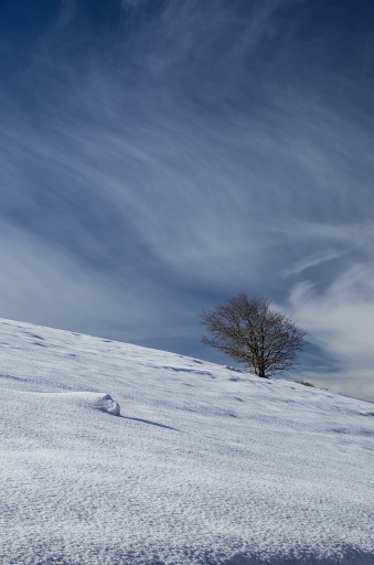 2017-02-19 / SPentaxQR
SPentaxQR [Paysages et elements naturels]
