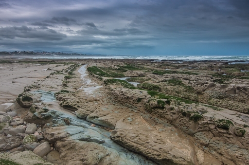 2017-03-18 / Olilignan
Olilignan [Vos series - Maree basse Bidart et Biarritz]
