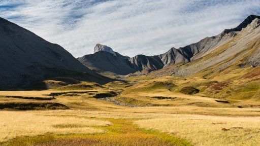 2018-11-18 / ASM
ASM [Paysages et elements naturels]
