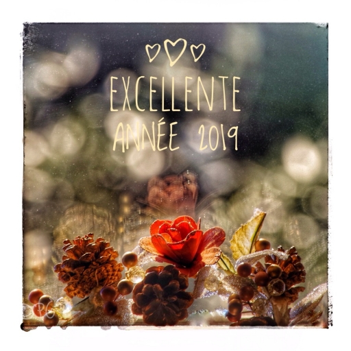 2019-01-01 / PH07
PH07 [Natures mortes et photo d'objets]
