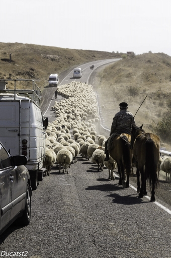 2019-02-10 / Ducatst2
Ducatst2 [vos series - En route pour Tatev (Armenie 2018)]
