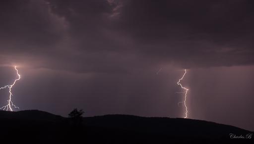 2019-07-27 / Charbau
Charbau [Paysages et elements naturels]
