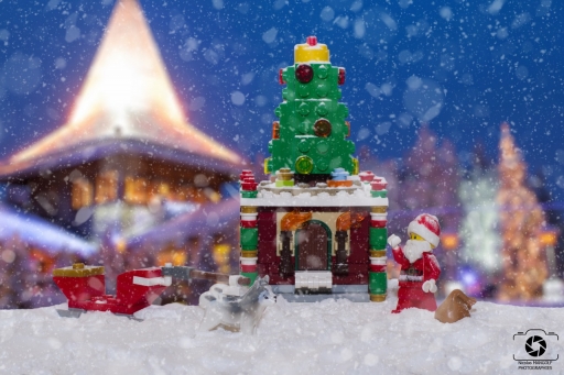 2020-12-25 / Nicolas03
Nicolas03 [Natures mortes]
