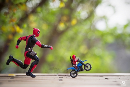 2021-04-04 / Nicolas03
Nicolas03 [Natures mortes et photos d'objets]
