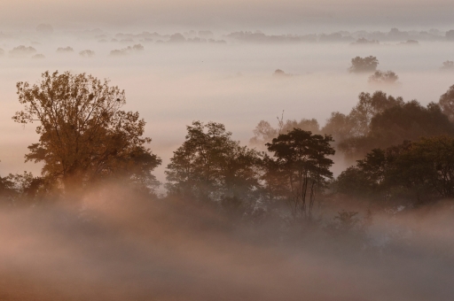2021-10-24 / charlysouho
charlysouho [paysages et éléments naturels]
