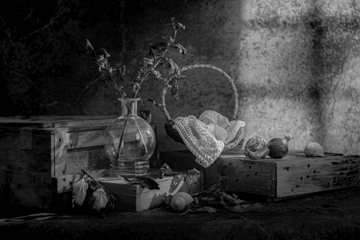 2022-10-29 / Opus21
Opus21 [Nature morte]
