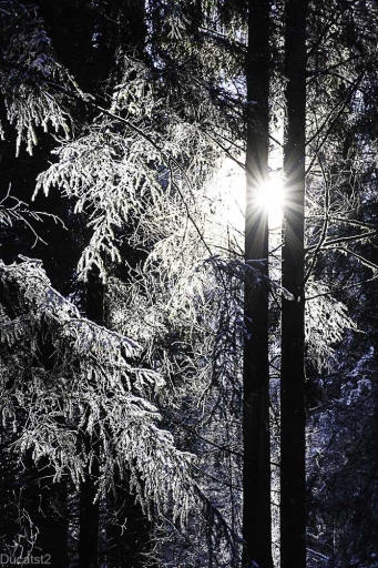 2024-01-21 / Ducatst2
Ducatst2 [Paysages et éléments naturels]
