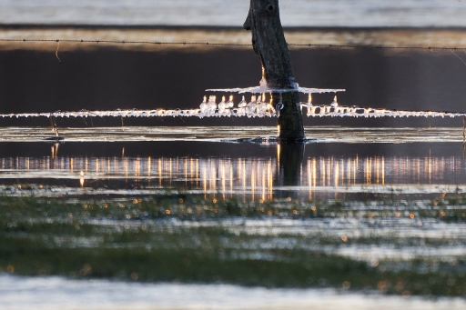 2024-02-11 / Charlysouho
Charlysouho [Natures mortes, photos d'objets]

