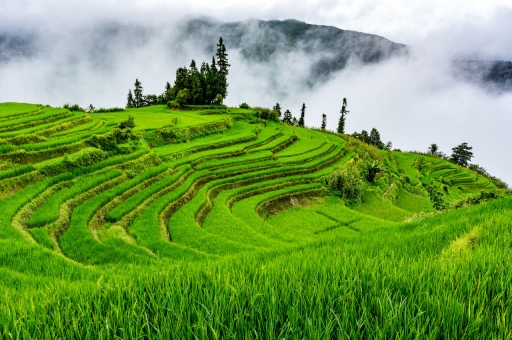 2018-10-13 / Chrisfer
Chrisfer [vos serie - Chine - Sud]
