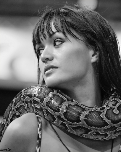 2017-06-18 / Berzip
Berzip [Portraits]
