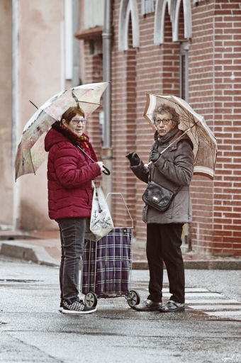 2019-06-24 / CarpoDingo
CarpoDingo [Portrait]
