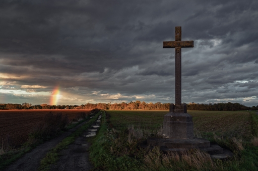 2020-11-01 / TOFTOF
TOFTOF [Paysages et éléments naturels]
