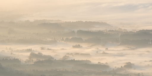 2020-12-20 / ASM
ASM [Paysages et éléments naturels]

