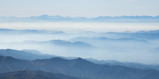 2021-12-05/ASM
ASM [Paysages et éléments naturels]

