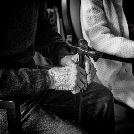 2022-12-18 / Berzip
Berzip [Portraits]
