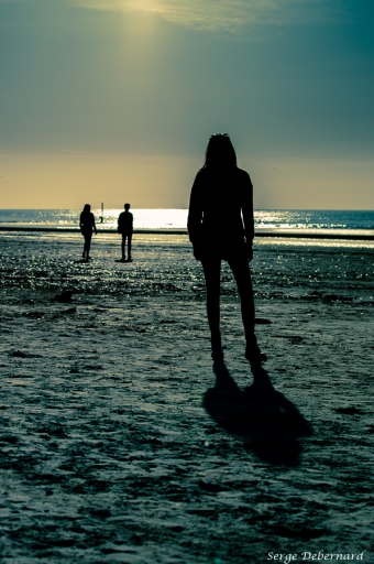 2018-07-08 / SerDeber
SerDeber [Portraits]
