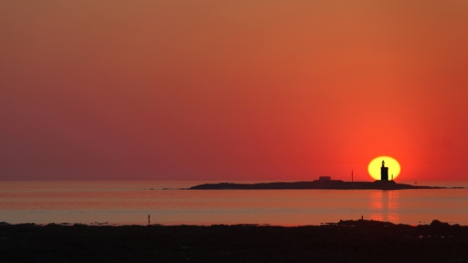 2020-11-08 / papa
papa [Paysages et éléments naturels]
