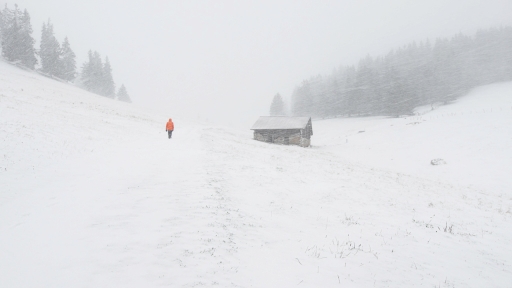 2019-12-29 / ASM
ASM [Paysages et éléments naturels]
