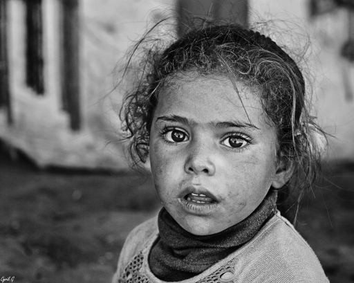 2017-11-02 / Carpodingo
Carpodingo [Portraits]
