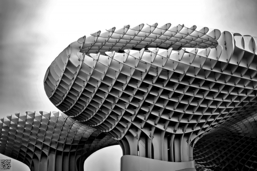 2023-12-03 / OursDePyrene
OurDePyrene [Environnement urbain et constructions humaines]
