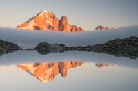 Nom du fichier=16112507592022136514659164.jpg
Taille du fichier=240Ko
Dimensions : 1024x681
Ajouté le : 25 Novembre 2016 16112507592022136514659164.jpg