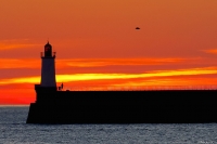 Nom du fichier=170115110514960010.jpg
Taille du fichier=330Ko
Dimensions : 990x660
Ajouté le : 22 Janvier 2017 170115110514960010.jpg