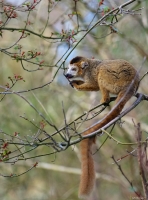 Nom du fichier=170624102514658983.jpg
Taille du fichier=304Ko
Dimensions : 740x999
Ajouté le : 24 Juin 2017 170624102514658983.jpg