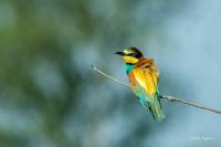 Nom du fichier=180518115442177075.jpg
Taille du fichier=213Ko
Dimensions : 1024x681
Ajouté le : 27 Mai 2018 180518115442177075.jpg