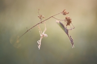 Nom du fichier=180522053147863403.jpg
Taille du fichier=204Ko
Dimensions : 1024x679
Ajouté le : 23 Mai 2018 180522053147863403.jpg