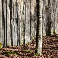 Nom du fichier=210227064319689305.jpg
Taille du fichier=487Ko
Dimensions : 900x900
Ajouté le : 27 Février 2021 210227064319689305.jpg