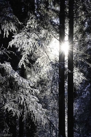 Nom du fichier=24011405380821144418337206.jpg
Taille du fichier=295Ko
Dimensions : 667x1000
Ajouté le : 20 Janvier 2024 24011405380821144418337206.jpg