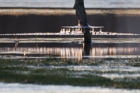 Nom du fichier=24021009004624454618354891.jpg
Taille du fichier=340Ko
Dimensions : 1280x854
Ajouté le : 10 Février 2024 24021009004624454618354891.jpg