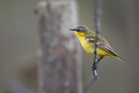 Nom du fichier=24042812062624454618396679.jpg
Taille du fichier=190Ko
Dimensions : 1280x853
Ajouté le : 04 Mai 2024 24042812062624454618396679.jpg