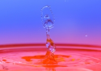 Nom du fichier=31590972183_04e2b6a46d_o.jpg
Taille du fichier=319Ko
Dimensions : 1024x720
Ajouté le : 22 Janvier 2017 31590972183_04e2b6a46d_o.jpg